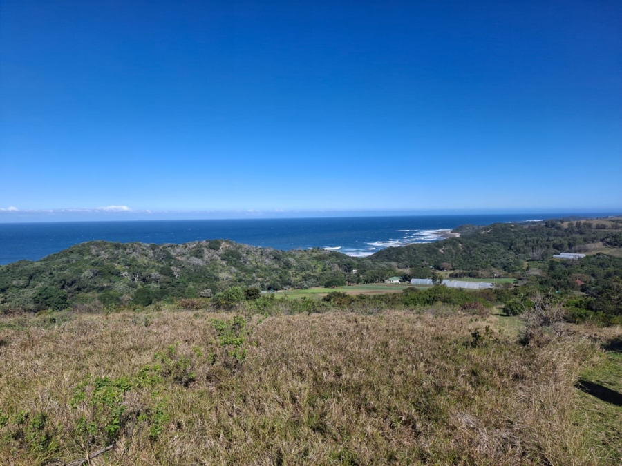 0 Bedroom Property for Sale in Khamanga Bay Eastern Cape